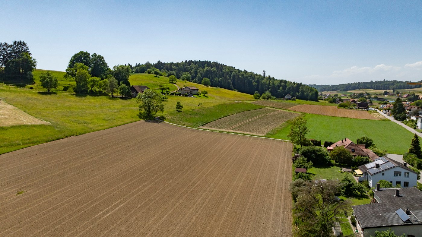 DJI_0826